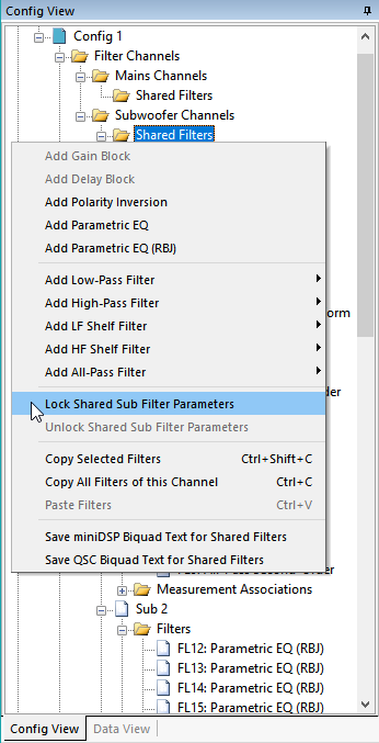 Locking the Parameters of All Shared Sub Filters